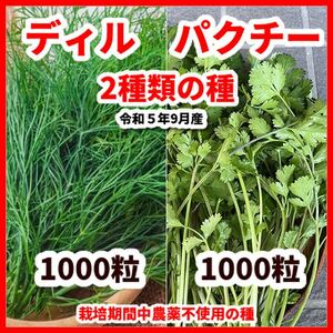 ディル＆パクチーの種【2種類セット】各種1000粒令和5年9月産