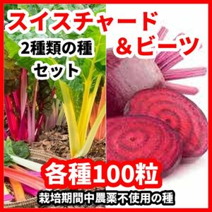 スイスチャード＆ビーツの種【2種類　各100粒】★農薬:栽培期間中不使用の種