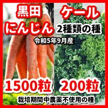 ケール＆黒田にんじんの2種類の種セット【栽培期間中農薬不使用の種】_画像1