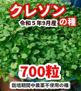 クレソンの種【700粒】栽培期間中農薬不使用の種