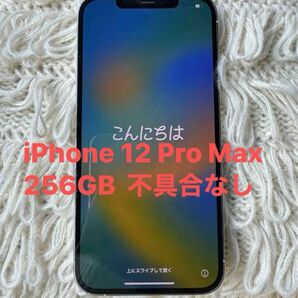 不具合なし　iPhone 12 Pro Max 256G simフリー