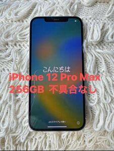 不具合なし　iPhone 12 Pro Max 256G simフリー