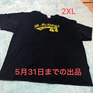 メンズTシャツ アメリカ古着 半袖Tシャツ