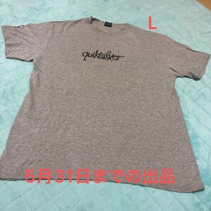 QUIKSILVER メンズTシャツ アメリカ古着 半袖Tシャツ