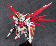 【MGSD 1/100 MGSD フリーダムガンダム Freedom Gundam 中国限定ヴァーミリオン・バードの配色 塗装完成品 機動戦士ガンダムSEED】Aone-047_画像5