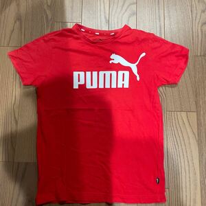 【中古・まとめて取引OK】PUMA(プーマ) キッズ ロゴ Tシャツ サイズ160 レッド
