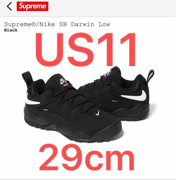 29cm Supreme Nike SB Darwin Low Black