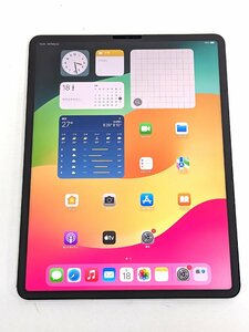 iPad Pro 12.9インチ 第5世代 Wi-Fi+Cellular 128GB MHR53J/A SIMフリー docomo 利用制限〇 タブレット《A1042