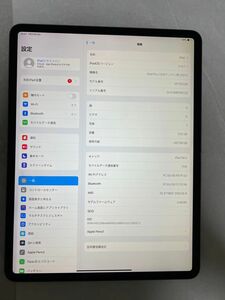 iPad Pro 12.9インチ第3世代512GB Wi-Fi Cellularモデル スペースグレー　docomo 本体のみ