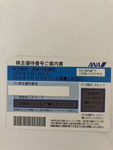 ★ANA 株主優待券(2024年5月末まで利用可能) 1枚★