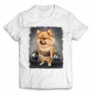 オレンジ ポメラニアン いぬ 犬 筋トレ Tシャツ メンズ レディース キッズ 半袖