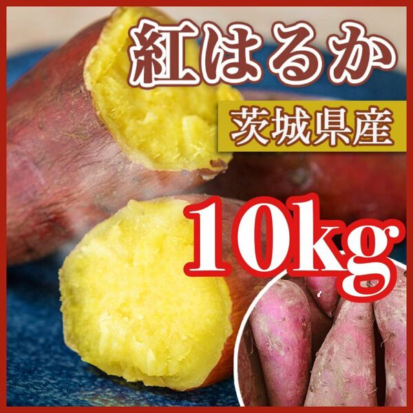 【熟成品】 10kg さつまいも 紅はるか 茨城県産 産地直送