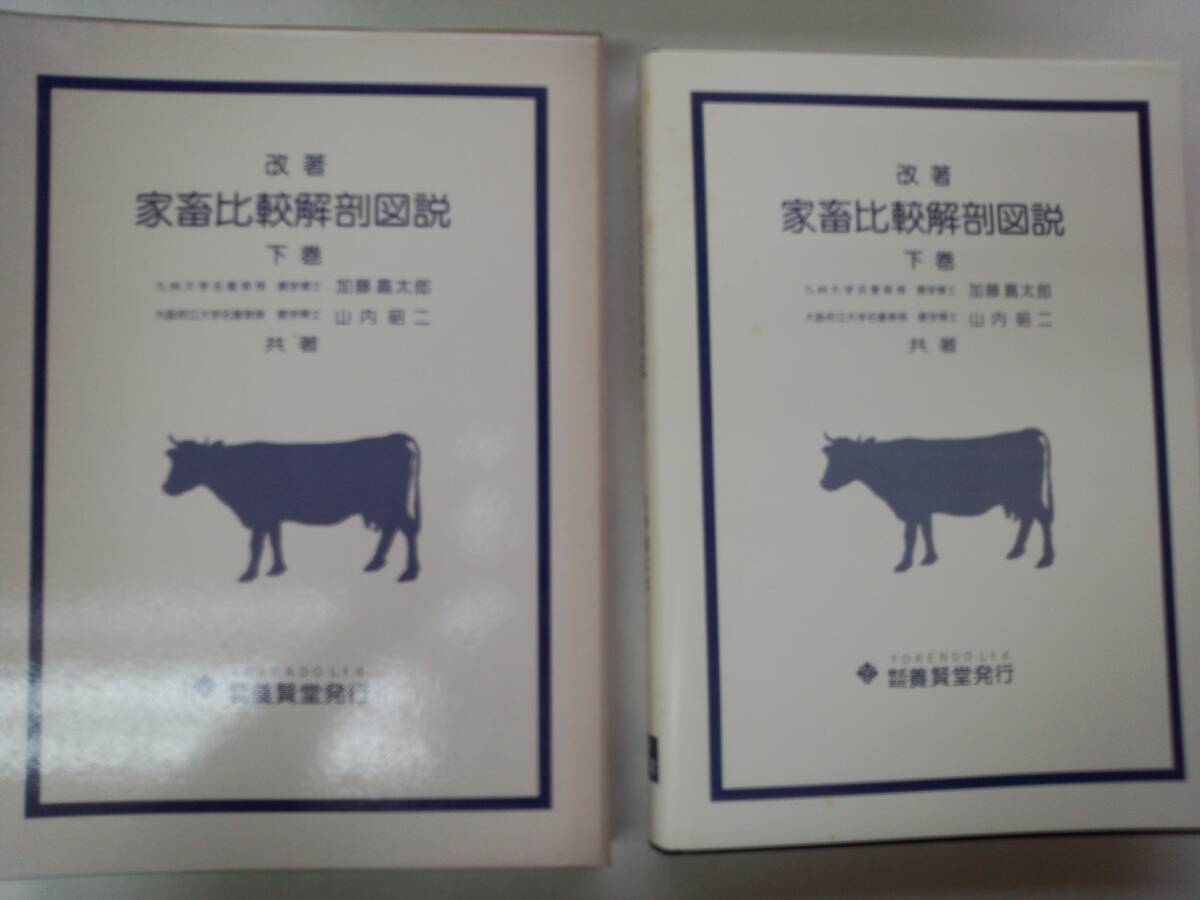 2025年最新】Yahoo!オークション -家畜比較解剖図説の中古品 2025年最新】Yahoo!オークション -家畜比較解剖図説の中古品
