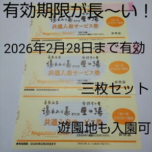  期限なが～い！ ３枚セット！ 長島温泉 湯あみの島 里の湯 入泉券 ナガシマスリゾート 2026年2月28日まで有効