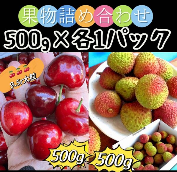 生グリーンライチ＆超大粒アメリカンチェリー500g×各1パック 妃子笑　新鮮ライチ 茘枝 桜桃9.5row 家庭用 父の日　中元