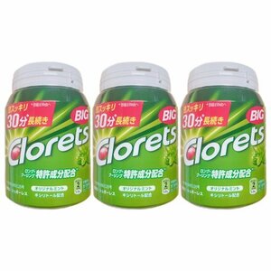 クロレッツXP オリジナルミント ビックボトル 290g