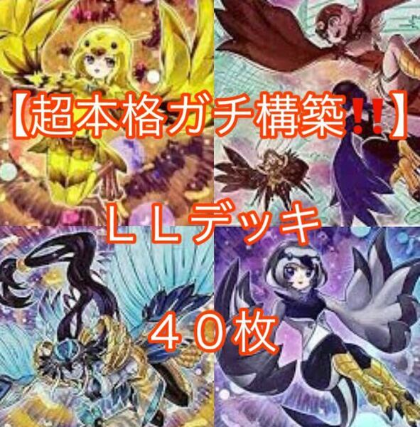 遊戯王【超本格ガチ構築！！】ＬＬデッキ４０枚