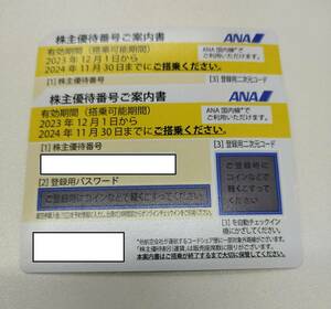 大黒屋 ★ 送料込 ★ ANA株主優待券×2枚組 ★ 期限2024年11月30日まで