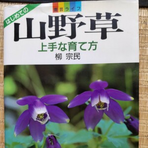 山野草上手な育て方