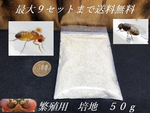 【送料無料】ショウジョウバエオリジナル培養用培地　５０ｇ■特価■ヤドクガエル　ビバリウム　爬虫類　生餌育成用品