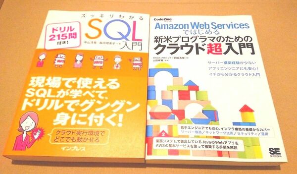 ★新品未読&美本◎★AWSとデータベース操作言語「SQL」の基礎学習に最適◎