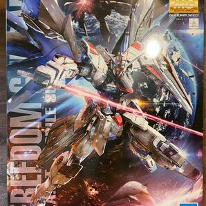 新品 MG フリーダムガンダム Ver.2.0 SEED バンダイ L1