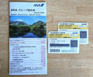 【送料無料】ANA 全日空 株主優待券 2枚 有効期限:2024/11/30まで (ANAグループ優待券(冊子)付き)