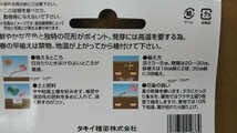 カラー ゴールドクラウン １袋 球根 タキイ 郵便は送料無料_画像4