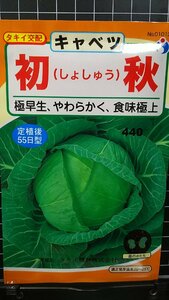 ３袋セット 初秋 キャベツ しょしゅう 種 郵便は送料無料