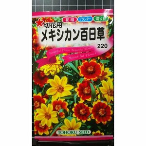 ３袋セット メキシカン 百日草 切花用 ジニア 種 郵便は送料無料