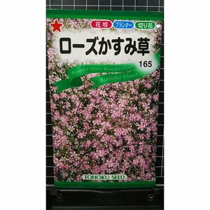 ３袋セット ローズ かすみ草 カスミソウ 種 郵便は送料無料