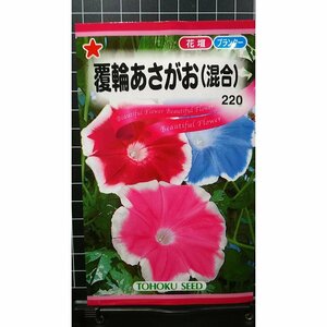 ３袋セット 覆輪 あさがお 混合 朝顔 種 郵便は送料無料