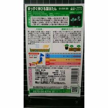 ３袋セット まっすぐ 伸びる 葉ぼたん 切り花用 葉牡丹 ハボタン 種 郵便は送料無料_画像2