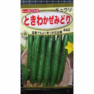 ３袋セット ときわ かぜみどり キュウリ キューリ 種 郵便は送料無料