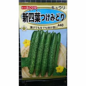 ３袋セット 新四葉 つけみどり キュウリ キューリ 胡瓜 種 郵便は送料無料