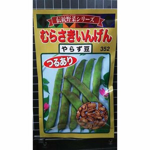 ３袋セット むらさき インゲン やらず豆 種 郵便は送料無料