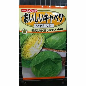 ３袋セット おいしい キャベツ シャキット 種 郵便は送料無料