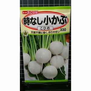 ３袋セット 小かぶ 時なし こひめ こかぶ 種 郵便は送料無料