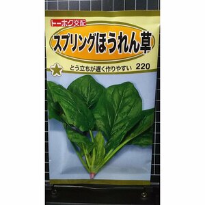 ３袋セット スプリング ほうれん草 ホウレンソウ 種 郵便は送料無料