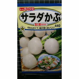 ３袋セット サラダ かぶ 雪の華 種 郵便は送料無料