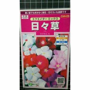 ビンカ 日々草 エクエイター ミックス ニチニチソウ 種 ３袋セット 郵便は送料無料