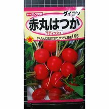 ３袋セット 赤丸はつか ラディッシュ ２０日 大根 種 郵便は送料無料_画像1