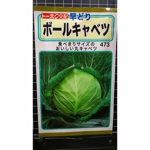 ３袋セット ボール キャベツ 早どり 種 郵便は送料無料