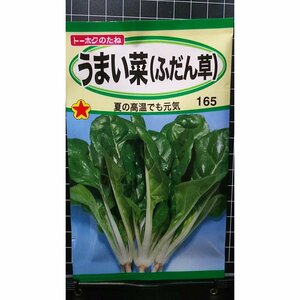 うまい菜 ふだん草 ウマイナ 種