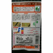 ３袋セット つるあり インゲン 王湖 早どり 多収穫 種 郵便は送料無料_画像2