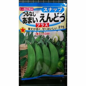 ３袋セット つるなし あまい スナップ えんどう プラス 種 郵便は送料無料