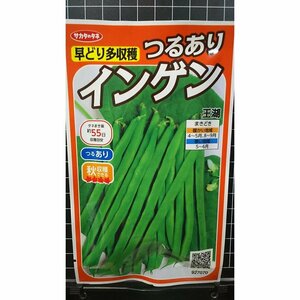 ３袋セット つるあり インゲン 王湖 早どり 多収穫 種 郵便は送料無料