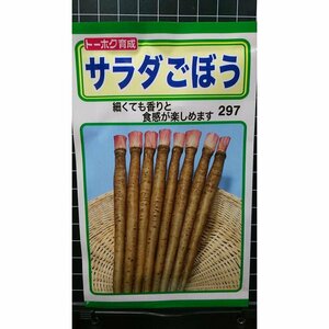 ３袋セット サラダ ごぼう 牛蒡 種 郵便は送料無料