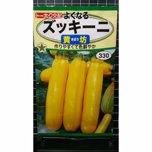 ３袋セット ズッキーニ 黄坊 よくなる 種 郵便は送料無料