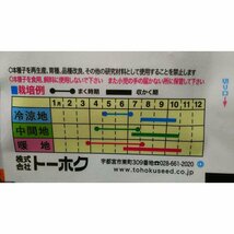 ３袋セット あま～い コーン SP 早どり トウモロコシ 種 郵便は送料無料_画像3